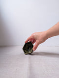 Hexagon sauce cup - olive